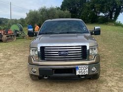 Bronzo Usata 2012 Ford F-150 Pick-up | 22.799 €
