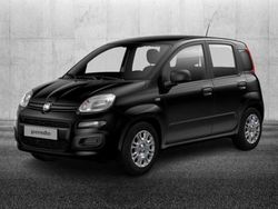 Nero Usata 2023 Fiat Panda S Due volumi | 13.950 € (Molto cara)
