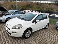 Bianco Usata 2012 Fiat Punto Lounge Tre volumi | 3999 € (Ottimo prezzo)