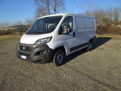 Bianco Usata 2021 Fiat Ducato Furgone | 14.200 € (Super prezzo)