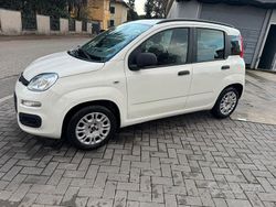 Bianco Usata 2012 Fiat Panda Due volumi | 5500 € (Cara)