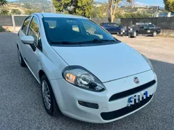 Bianco Usata 2017 Fiat Punto Street Due volumi | 6900 € (Buon prezzo)