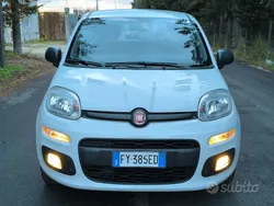 Bianco Usata 2019 Fiat Panda Lounge Due volumi | 9500 € (Buon prezzo)