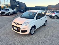 Bianco Usata 2019 Fiat Panda Easy Tre volumi | 9900 € (Buon prezzo)