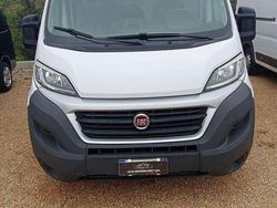 Bianco Usata 2016 Fiat Ducato Furgone | 12.000 € (Ottimo prezzo)