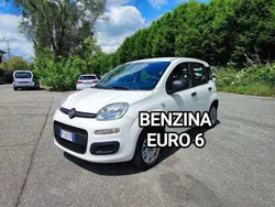 Other Usata 2019 Fiat Panda Easy Due volumi | 4950 € (Ottimo prezzo)