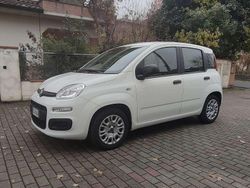 Bianco Usata 2021 Fiat Panda City Life Due volumi | 9200 € (Buon prezzo)