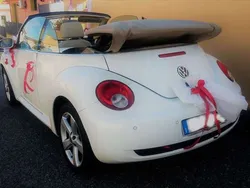 Bianco Usata 2009 VW Beetle Cabrio | 9900 € (Molto cara)
