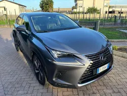 Grigio Usata 2019 Lexus NX300h Luxury Line SUV | 27.500 € (Buon prezzo)