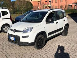 Bianco Usata 2020 Fiat Panda 4x4 S Due volumi | 15.400 € (Cara)