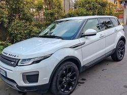 Bianco Usata 2017 Land Rover Range Rover evoque SUV | 11.000 € (Super prezzo)