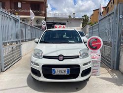 Bianco Usata 2013 Fiat Panda Lounge Due volumi | 6999 € (Cara)