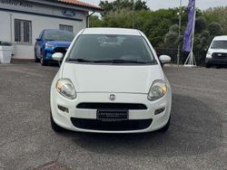 Bianco Usata 2014 Fiat Punto Street Due volumi | 8500 € (Cara)