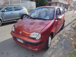 Rosso Usata 2001 Fiat Seicento Due volumi | 800 € (Super prezzo)