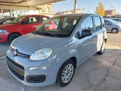 Grigio Usata 2022 Fiat Panda S Tre volumi | 9200 € (Buon prezzo)