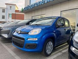 Blu/azzurro Nuova 2025 Fiat Grande Panda Icon Due volumi | 11.690 € (Super prezzo)