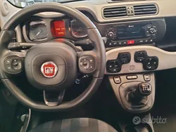 Usata 2019 Fiat Panda Cross Cross Due volumi | 10.800 € (Buon prezzo)