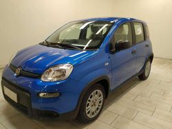 Blu/azzurro Usata 2024 Fiat Panda S Tre volumi | 15.290 € (Molto cara)