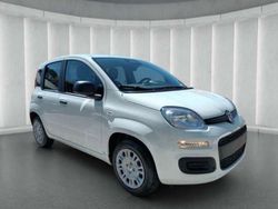 Bianco Nuova 2025 Fiat Panda Due volumi | 13.470 €