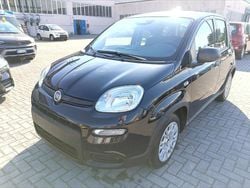 Nero Usata 2024 Fiat Panda Due volumi | 12.000 € (Buon prezzo)