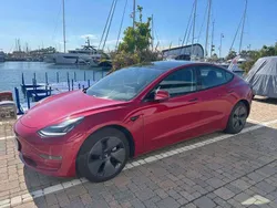 Rosso Usata 2020 Tesla Model 3 Long Range Tre volumi | 24.000 € (Buon prezzo)