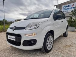 Bianco Usata 2019 Fiat Panda Due volumi | 7500 € (Ottimo prezzo)