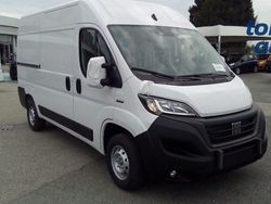 Bianco Usata 2023 Fiat E-Ducato | 33.890 €
