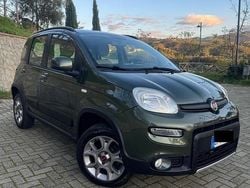 Verde Usata 2013 Fiat Panda 4x4 Due volumi | 8250 € (Buon prezzo)