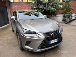 Grigio metallizzato Usata 2019 Lexus NX300h Executive Line SUV | 20.500 € (Super prezzo)