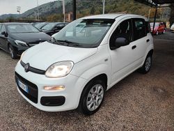 Bianco Usata 2017 Fiat Panda Lounge Tre volumi | 4500 € (Buon prezzo)