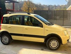 Beige Usata 2006 Fiat Panda 4x4 Climbing Due volumi | 4000 € (Ottimo prezzo)