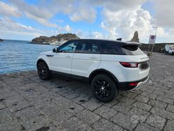 Bianco Usata 2018 Land Rover Range Rover evoque SUV | 16.500 € (Super prezzo)