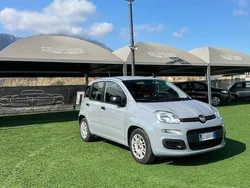 Grigio Usata 2020 Fiat Panda Launch Edition Due volumi | 9300 € (Buon prezzo)