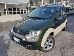 Verde Usata 2006 Fiat Panda 4x4 Cross Due volumi | 8900 € (Molto cara)