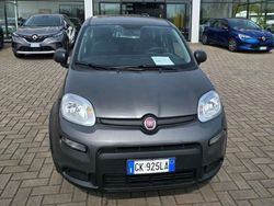 Grigio Usata 2022 Fiat Panda Red Due volumi | 12.200 € (Buon prezzo)