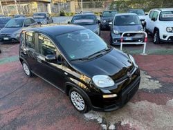 Nero Usata 2024 Fiat Panda Due volumi | 10.980 € (Ottimo prezzo)