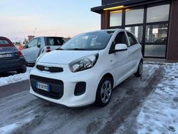 Bianco Usata 2016 Kia Picanto Due volumi | 5980 € (Buon prezzo)