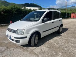 Bianco Usata 2006 Fiat Panda Dynamic Due volumi | 3500 €
