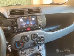 Marrone Usata 2019 Fiat Panda Due volumi | 7000 € (Ottimo prezzo)