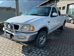 Usata 1999 Ford F-150 Pick-up | 14.500 €
