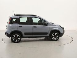 Usata 2021 Fiat Panda Cross Cross Due volumi | 11.990 € (Buon prezzo)