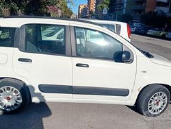 Bianco Usata 2012 Fiat Panda Easy Due volumi | 5900 € (Buon prezzo)