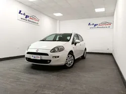 Bianco Usata 2014 Fiat Punto Lounge Due volumi | 5900 € (Buon prezzo)