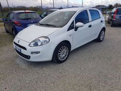 Bianco pastello Usata 2018 Fiat Punto Due volumi | 7500 € (Buon prezzo)