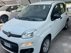 Bianco Usata 2017 Fiat Panda Easy Due volumi | 8500 € (Cara)