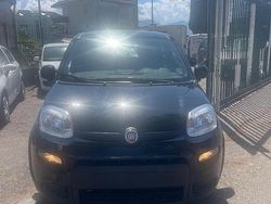 Nero Usata 2023 Fiat Panda Due volumi | 11.500 € (Buon prezzo)