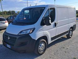 Bianco Usata 2020 Fiat Ducato Furgone | 15.400 € (Buon prezzo)