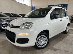 Bianco Nuova 2025 Fiat Panda Icon Tre volumi | 11.990 €