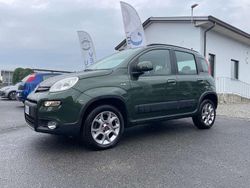 Verde Usata 2016 Fiat Panda 4x4 S Due volumi | 13.900 € (Cara)