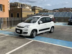 Bianco Usata 2016 Fiat Panda Lounge Due volumi | 7800 € (Buon prezzo)